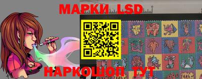 гашик Можга