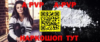 гашик Можга