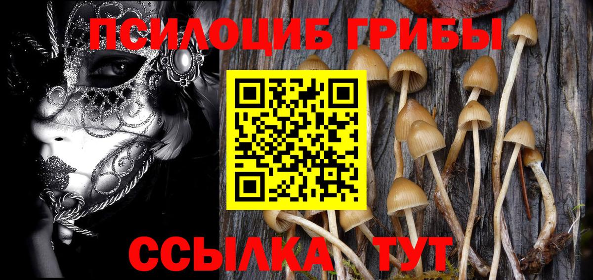 Хасавюрт  Вход с VPN  МЕФ кристаллы  МДМА  Конопля  ГАШ  COCAIN  НБОМе 