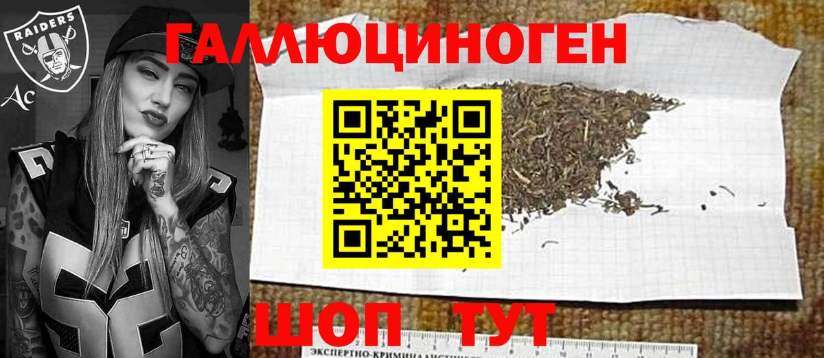Псилоцибиновые грибы MAGIC MUSHROOMS  Псилоцибиновые грибы мицелий  Вход с VPN  продажа наркотиков  Хасавюрт 